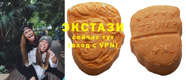 индика Волосово